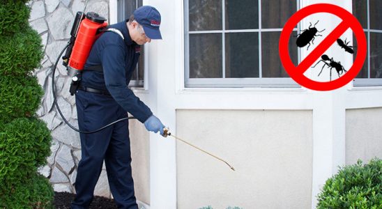 Kargı Gümüşkurt İlaçlama böcek ilaçlama ve haşere kontrolü — ilaclama-tr.com